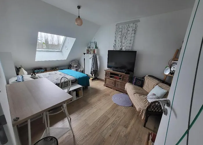 Bienvenue Aux Abords Du Circuit * Mulsanne